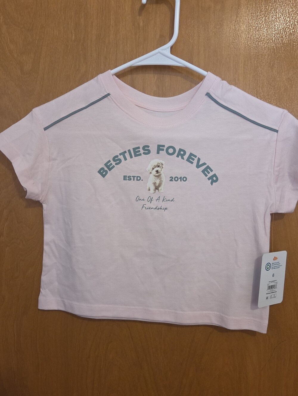 Girl's Wonder Nation Pink "Besties Forever" S/S Graphic Tee, Size 6. NEW